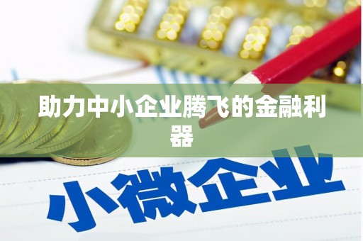 虎林助力中小企业腾飞的金融利器