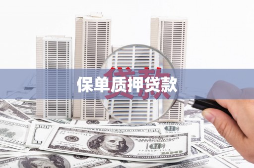 虎林保单质押贷款