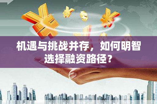 虎林机遇与挑战并存，如何明智选择融资路径？