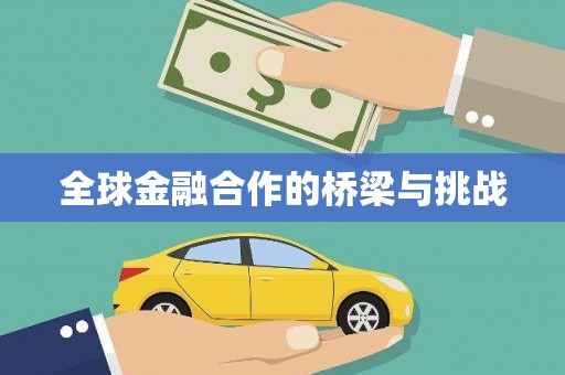 虎林全球金融合作的桥梁与挑战