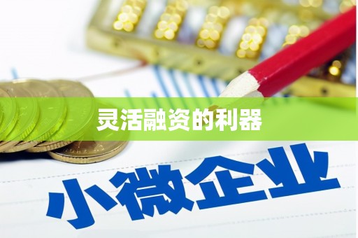 虎林灵活融资的利器