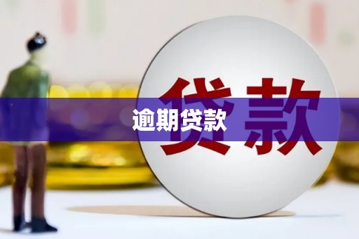 虎林逾期贷款