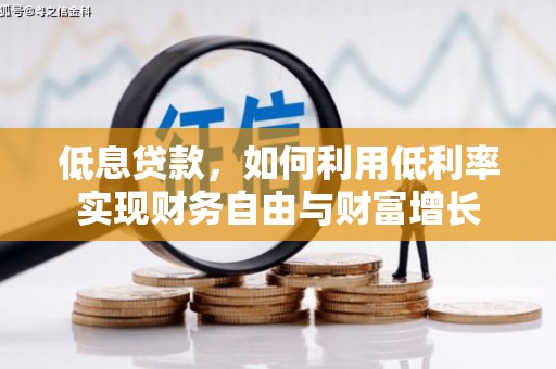 虎林低息贷款，如何利用低利率实现财务自由与财富增长