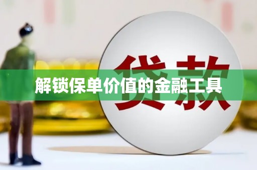 虎林解锁保单价值的金融工具