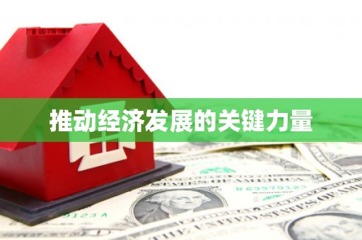 虎林推动经济发展的关键力量