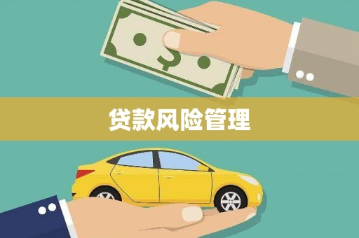 虎林贷款风险管理